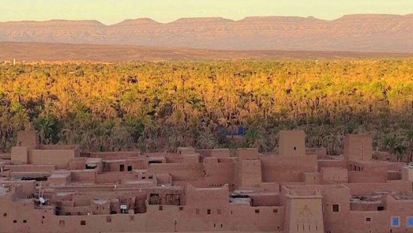 Kasbah of Peace: Draa Valley Walking Tour